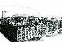 Lerm Ludewig