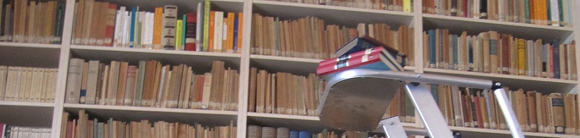 BibliothekneuesKonnzept