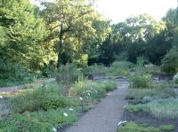 Treptow2011 12b