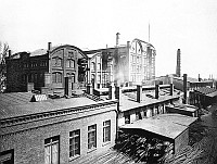 Treptow_Beermann.jpg